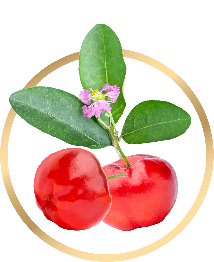 Acerola