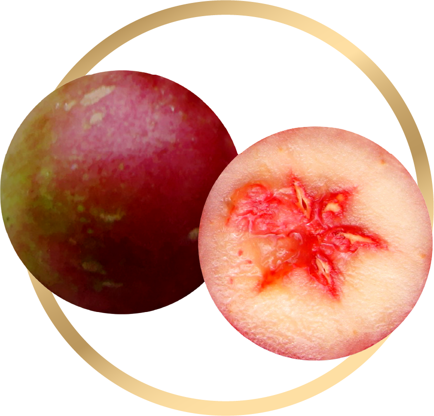 Camu camu
