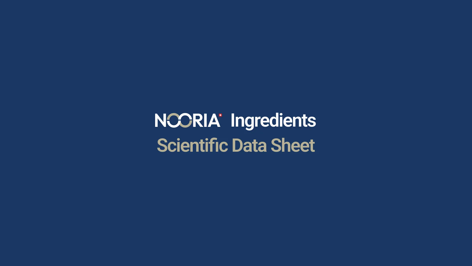 https://nooria-swiss.com/wp-content/uploads/2025/05/slide-16_9-20-2.webp