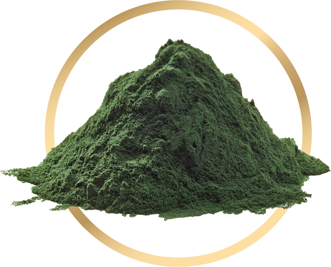 Spirulina