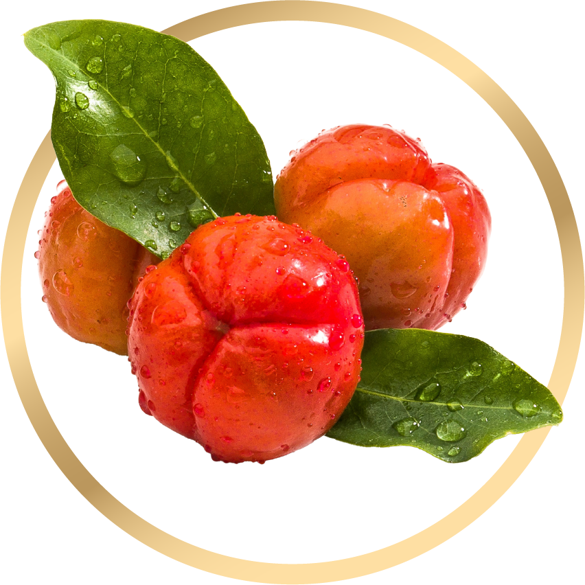 Acerola