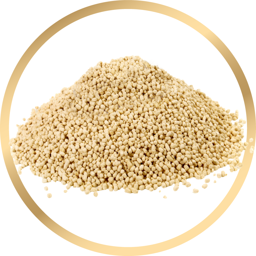 Choline