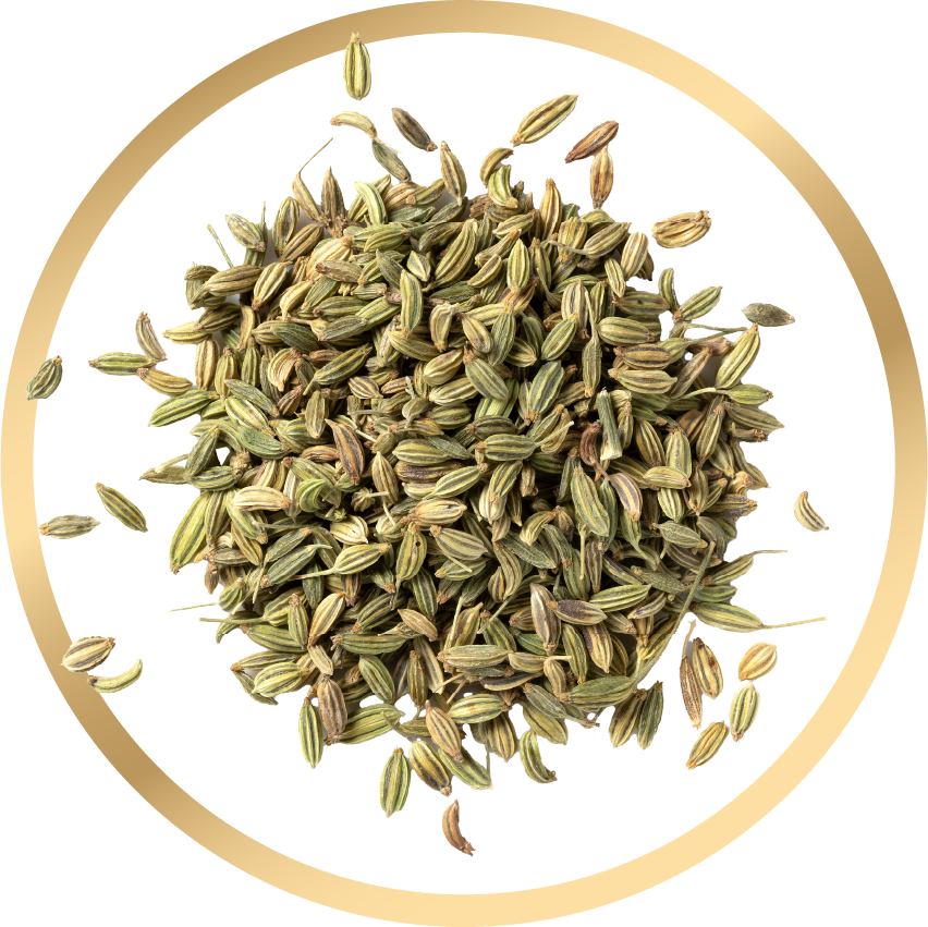 Fennel