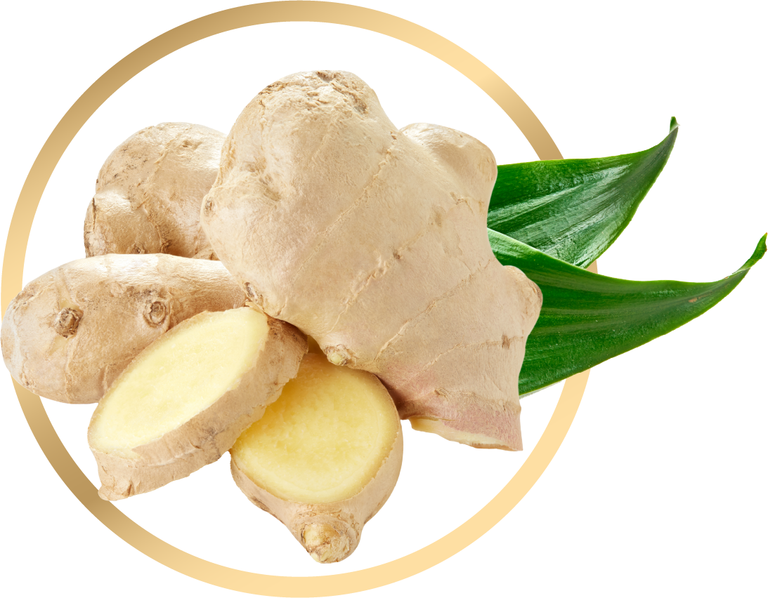 Ginseng