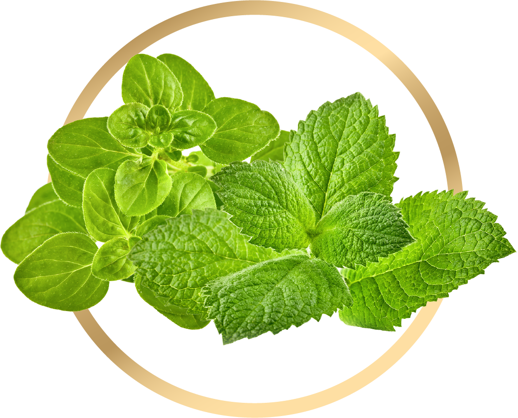Gut cleanser mix