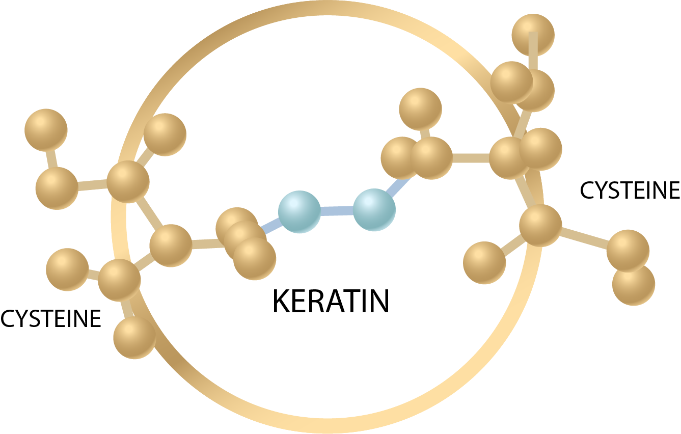 Hualuronic Acid