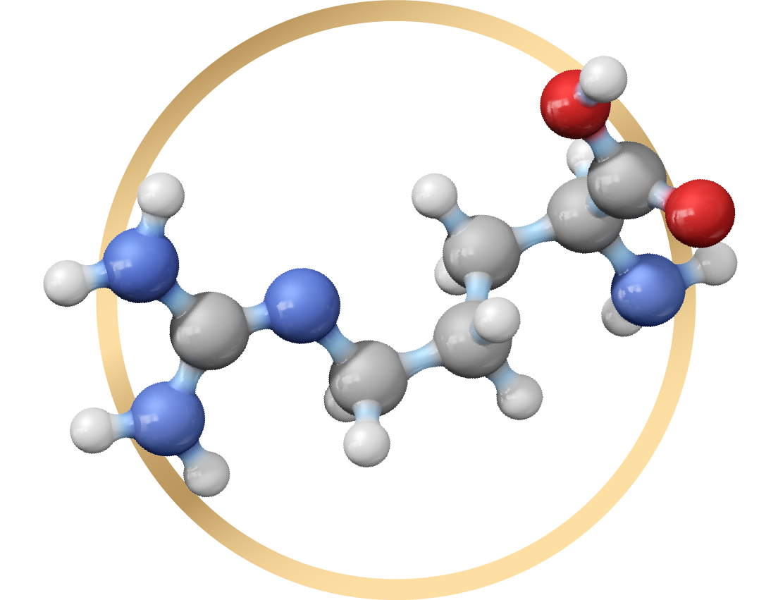 L-Citruline