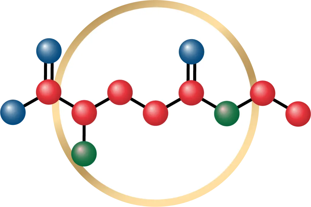 L-Theanine for Focus and Sleep: What the Clinical Trials Show