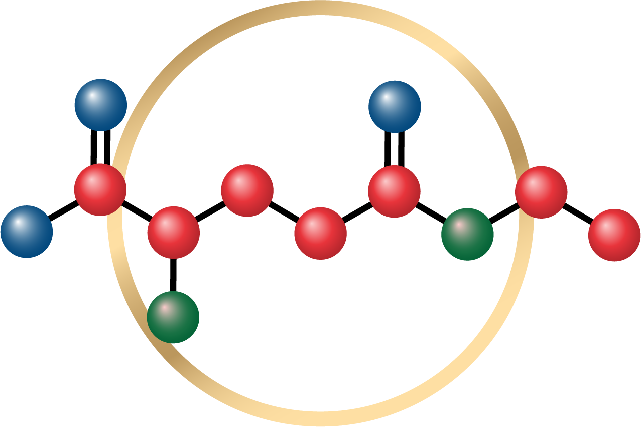 L-Theanine
