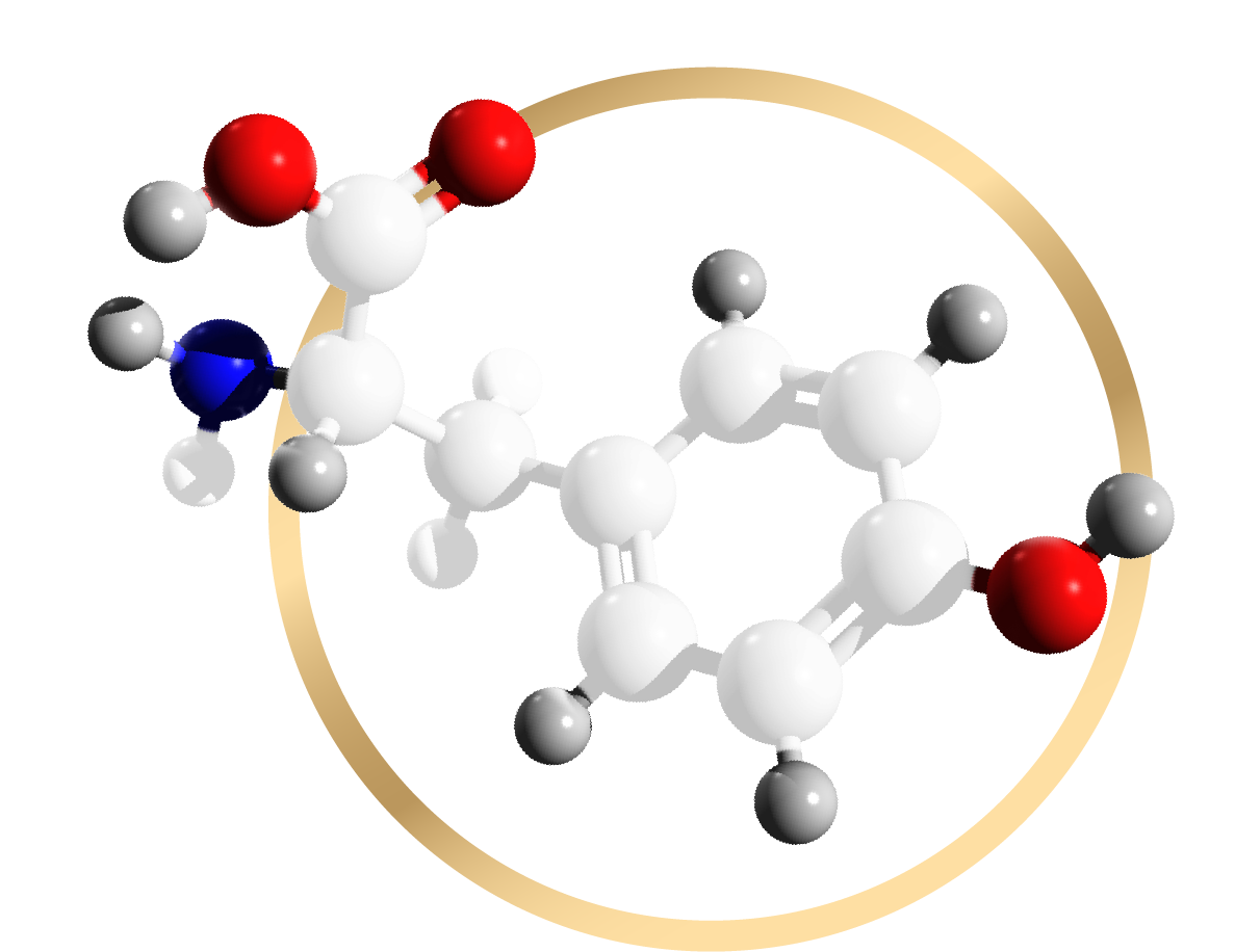 L- Tyrosine