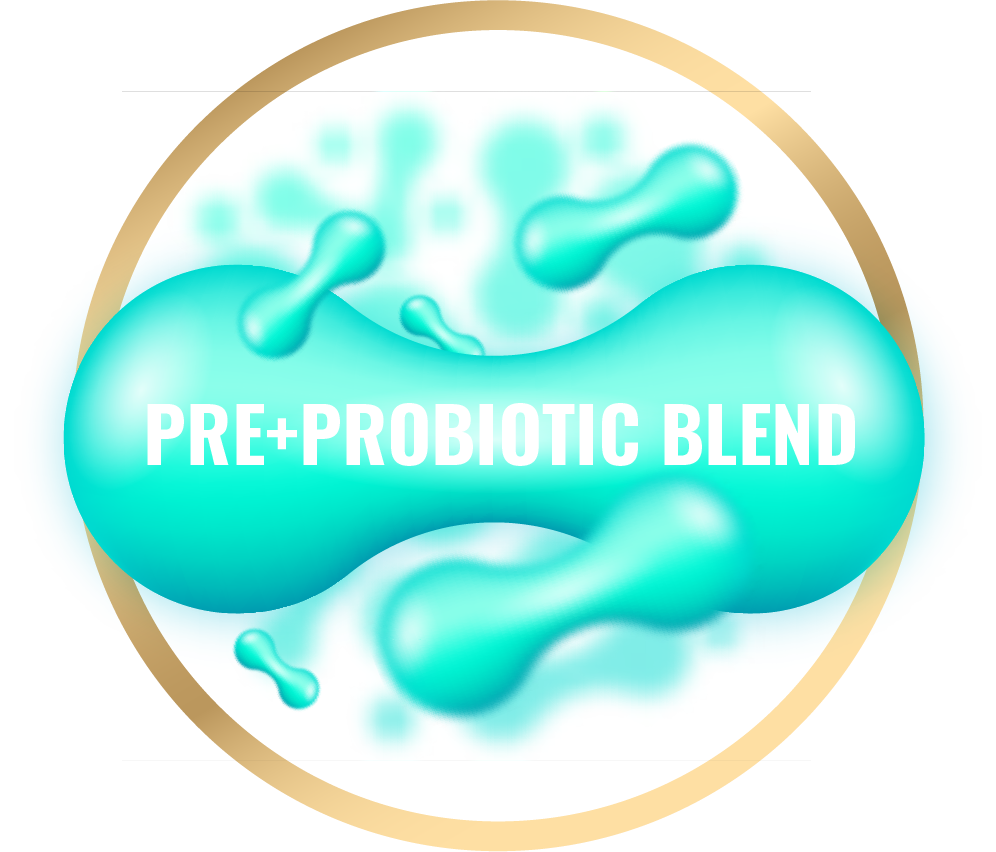 Pre+probiotic blend