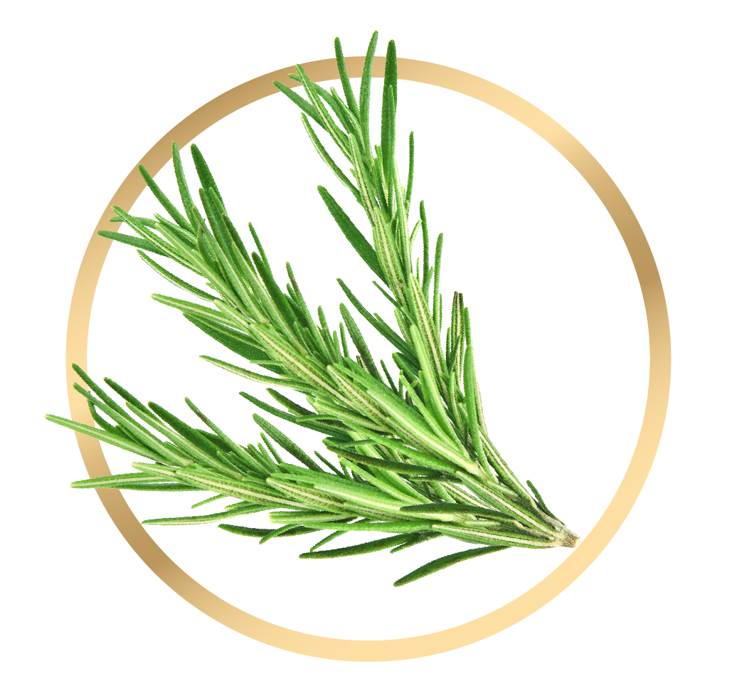 Rosemary 
