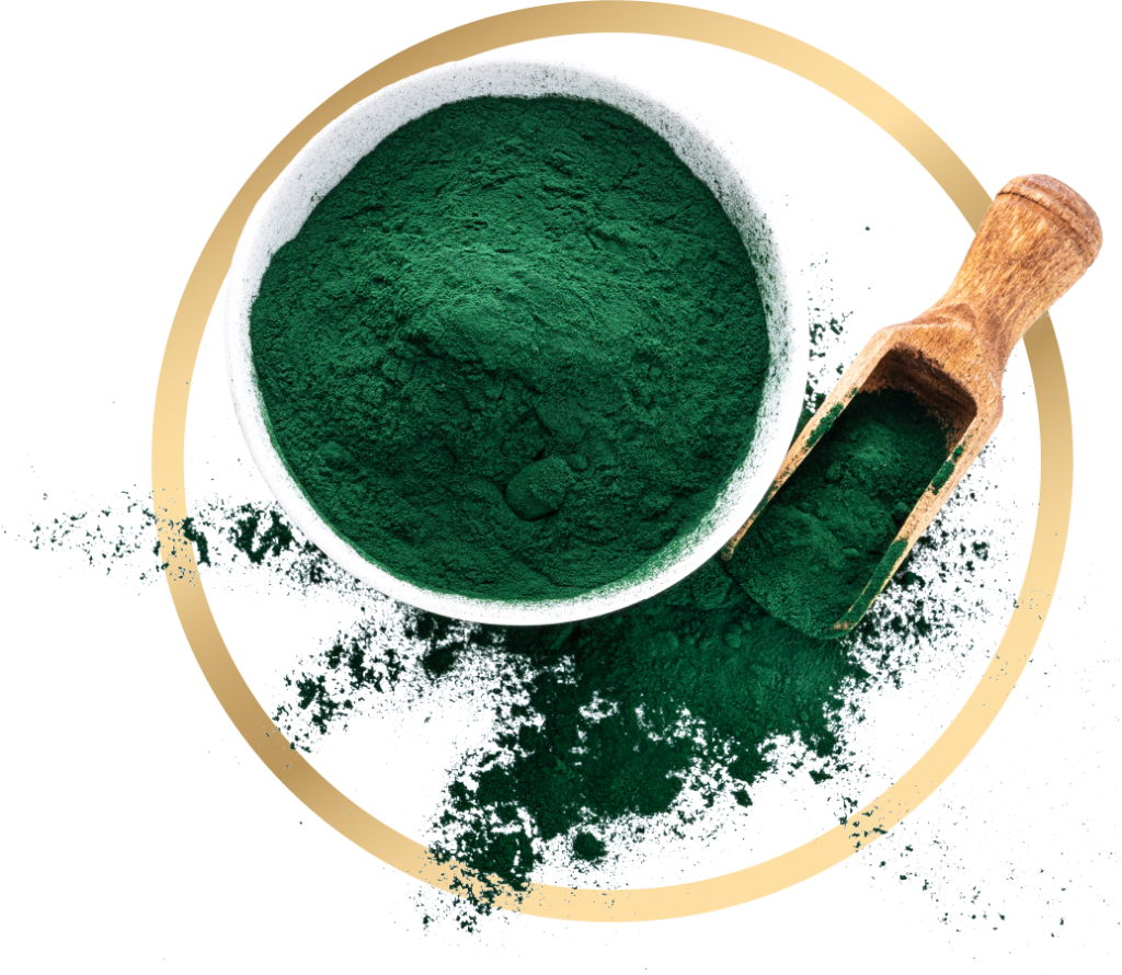 La spiruline pour les sportifs : ce qu'une revue systématique révèle sur ses effets antioxydants et sur les performances