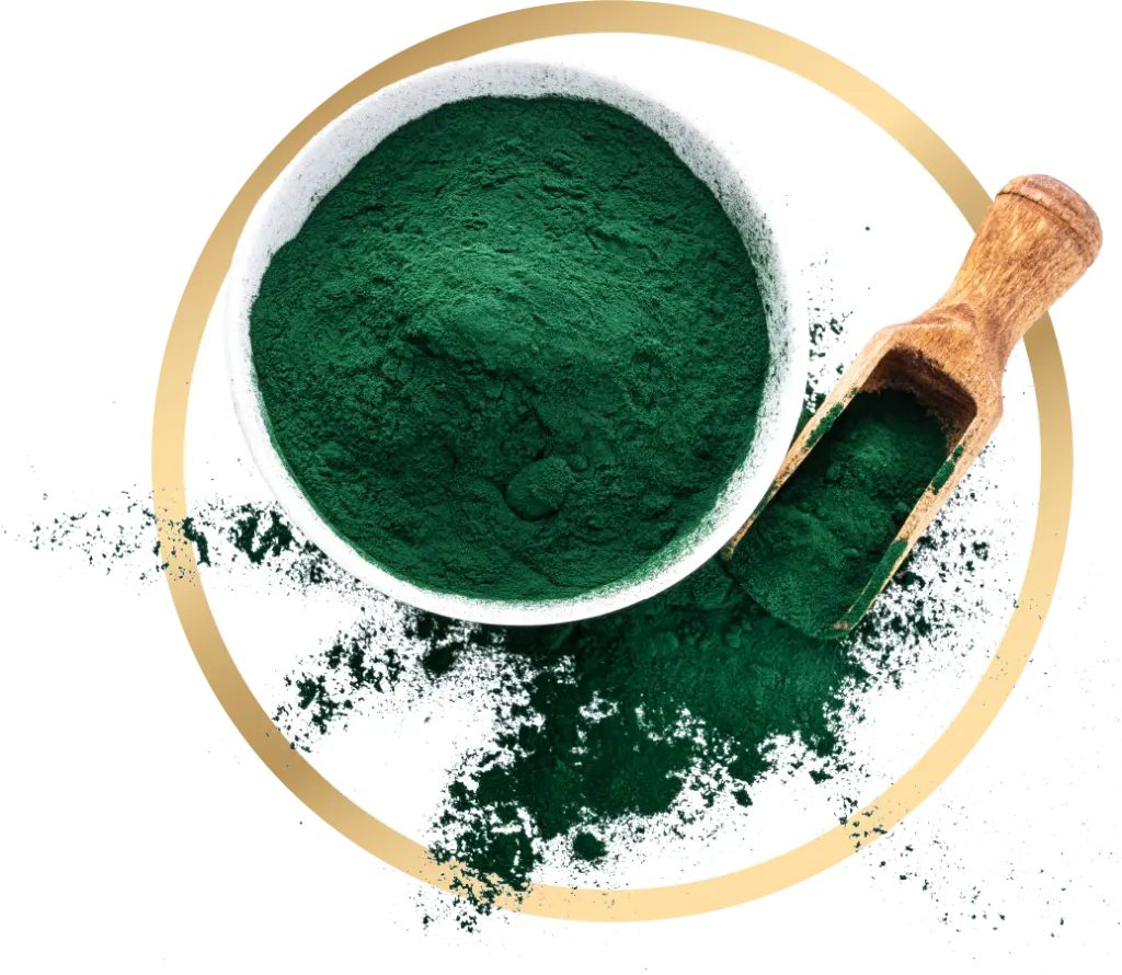Spirulina for Athletes: What a Systematic Review Says About Antioxidant and Performance Effects