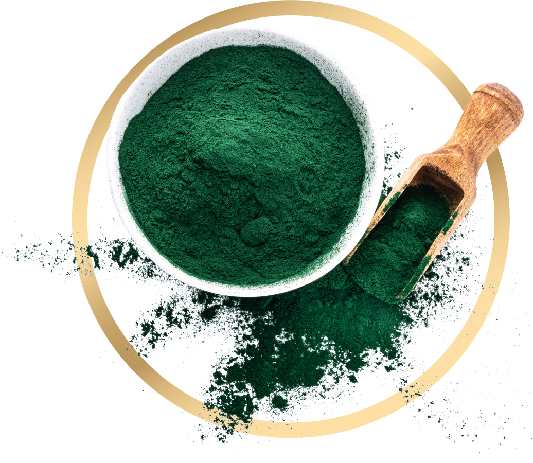 Spirulina