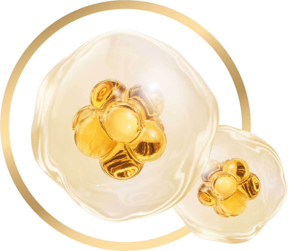 Hallal Collagen peptides