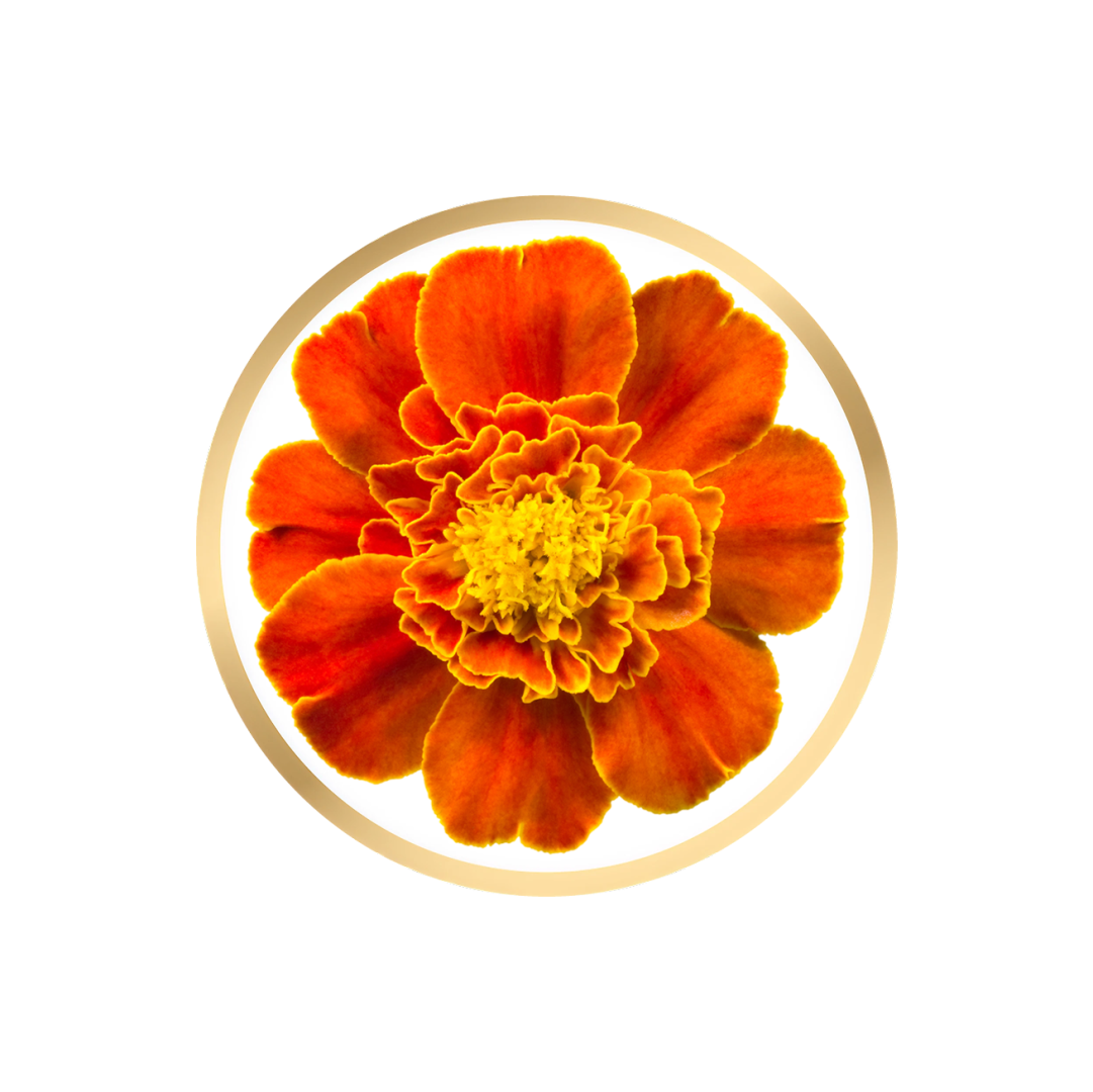 Zeaxanthin