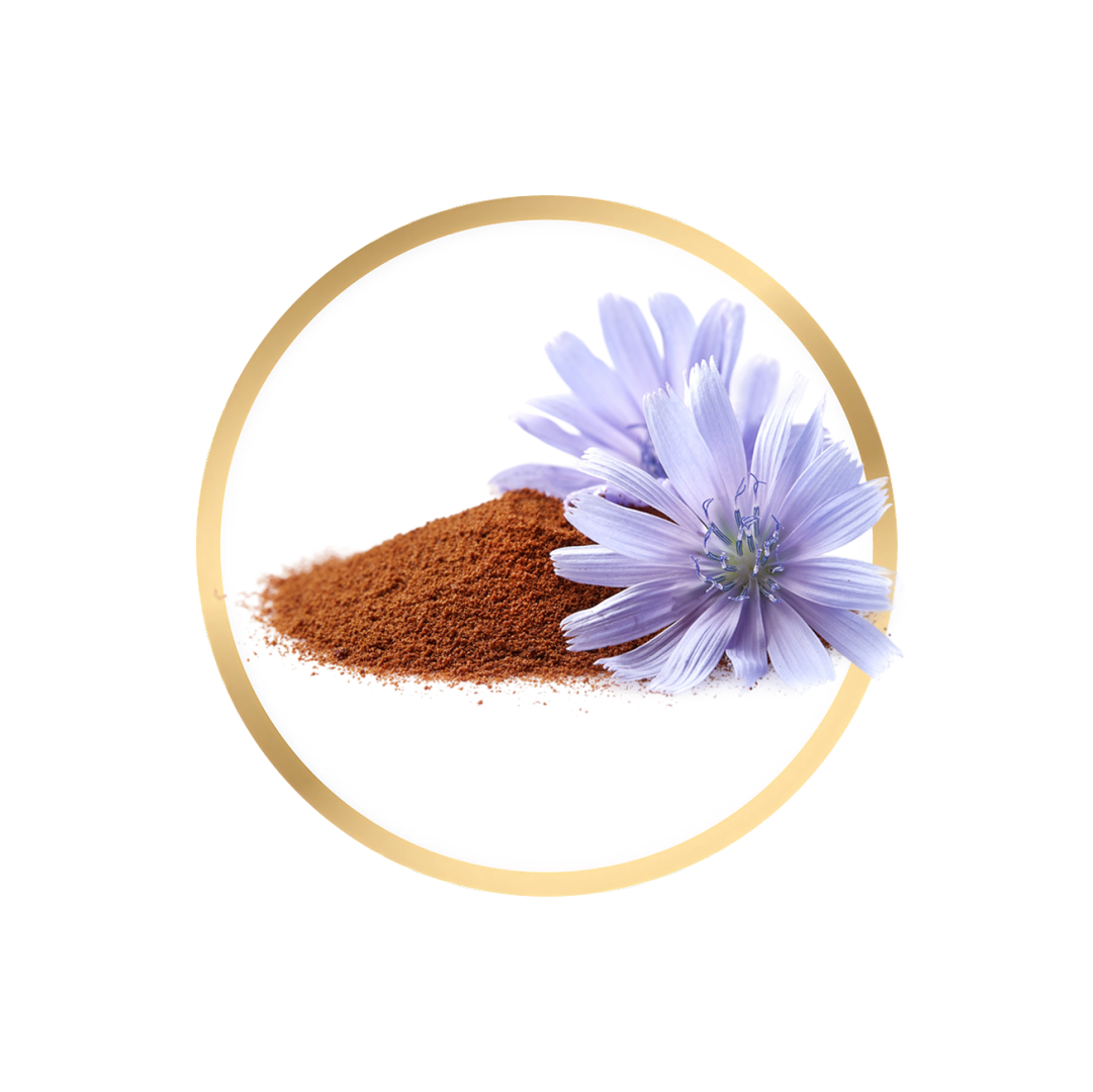 Inulin