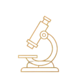 260 CLINICAL STUDIES