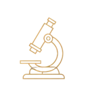 260 CLINICAL STUDIES