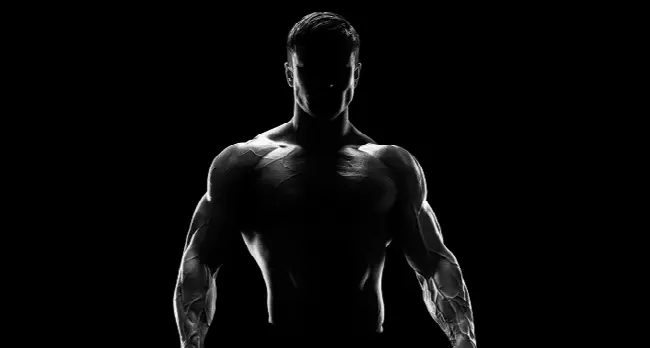 Fitness & Muscle strength